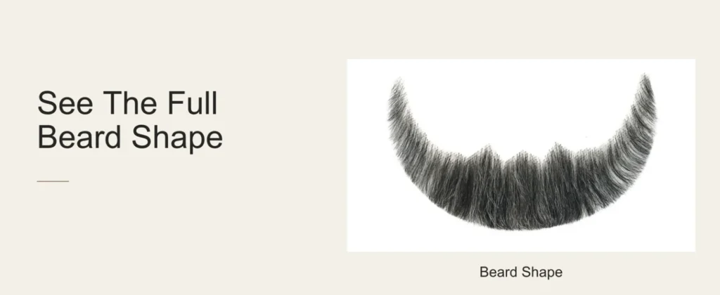 Black & Gray Full Beard & Mustache — hair and lace details